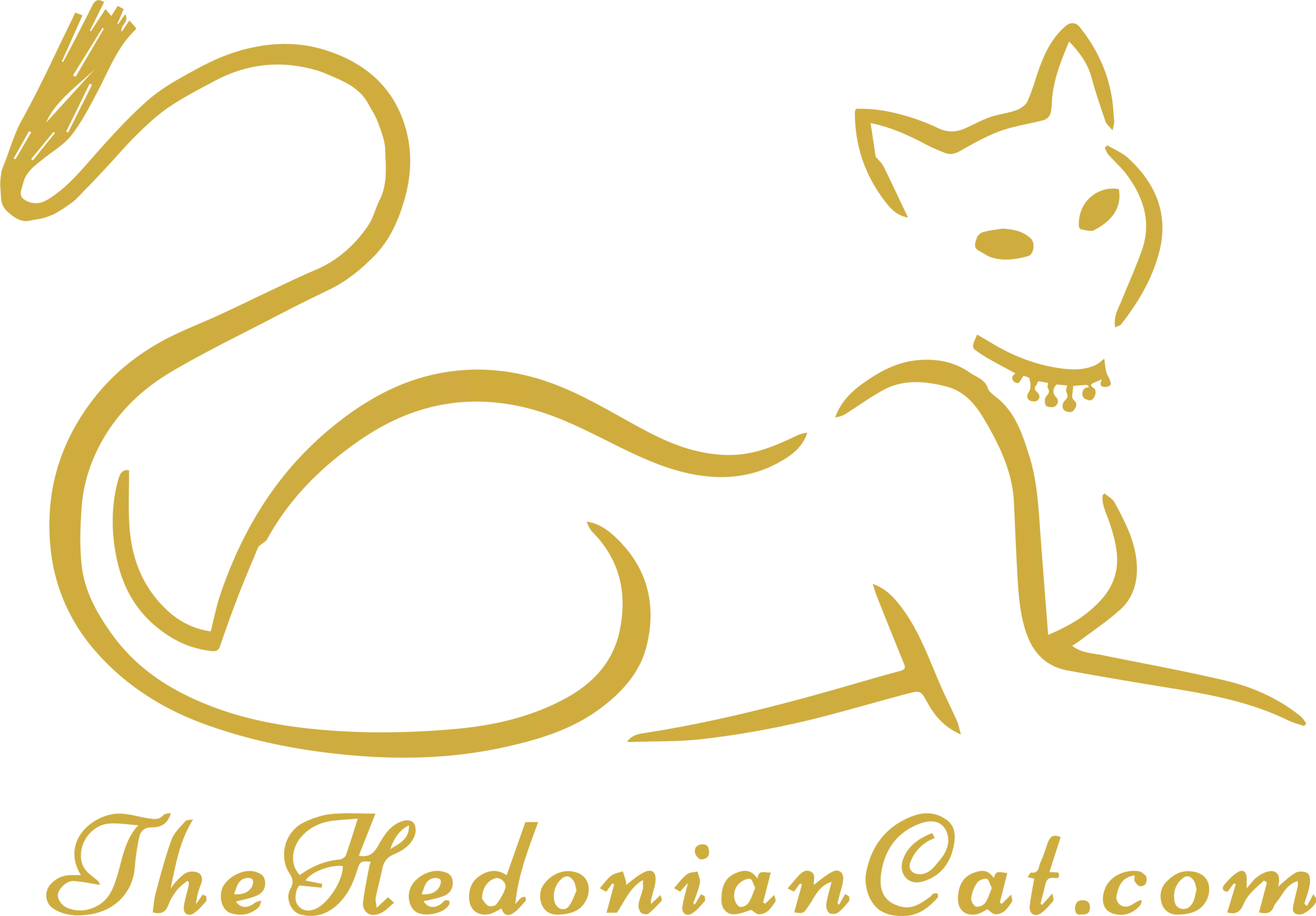 thehedoniancat colorfull logo
